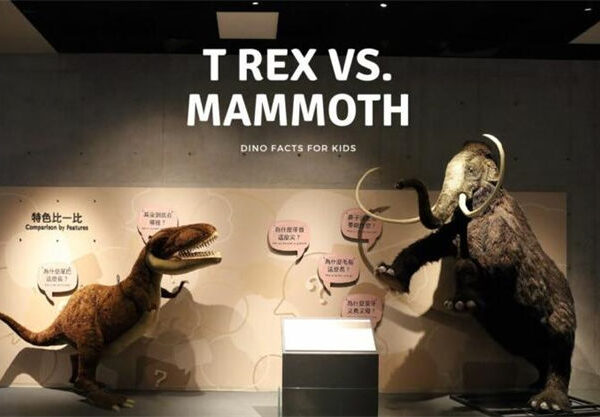 Trex VS Mammoth