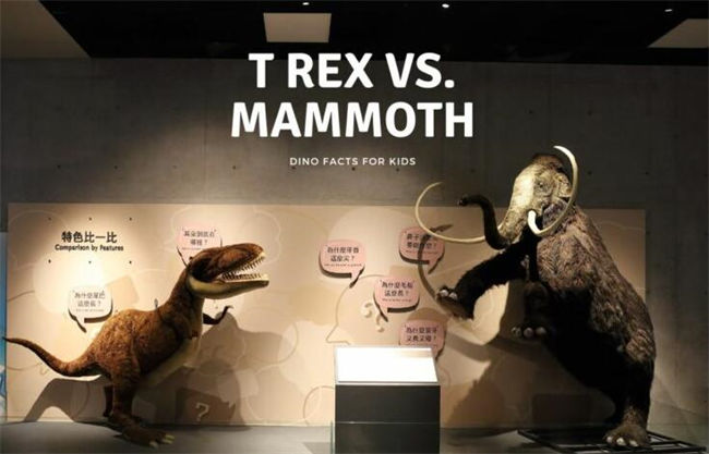 Trex VS Mammoth