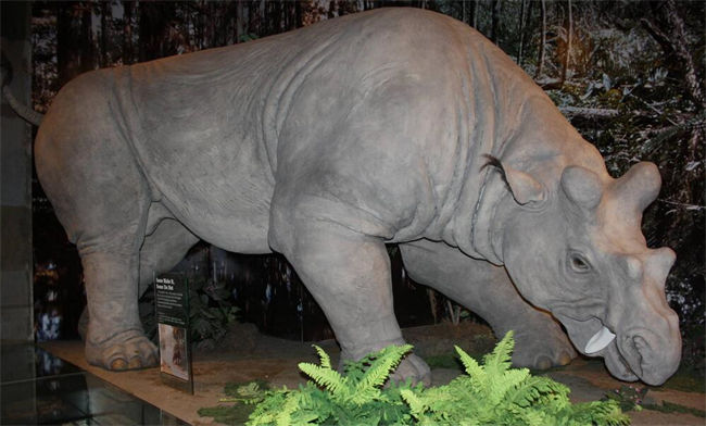 Uintatherium