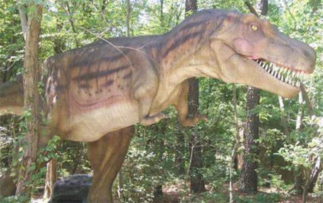 Animatronic Albertosaurus