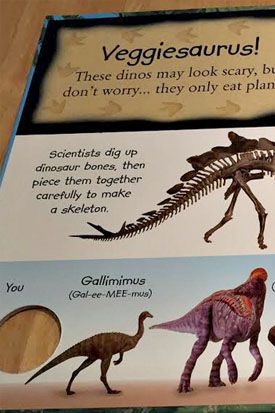 Dinosaur book inside