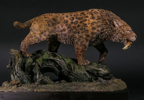 Smilodon Model