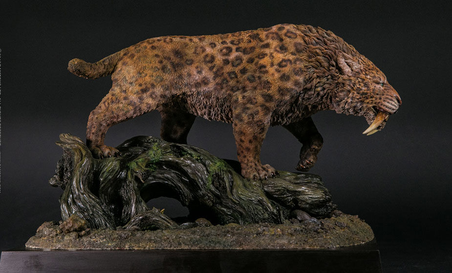 Smilodon Model