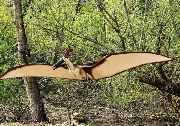 Lifelike Pterosaur Model