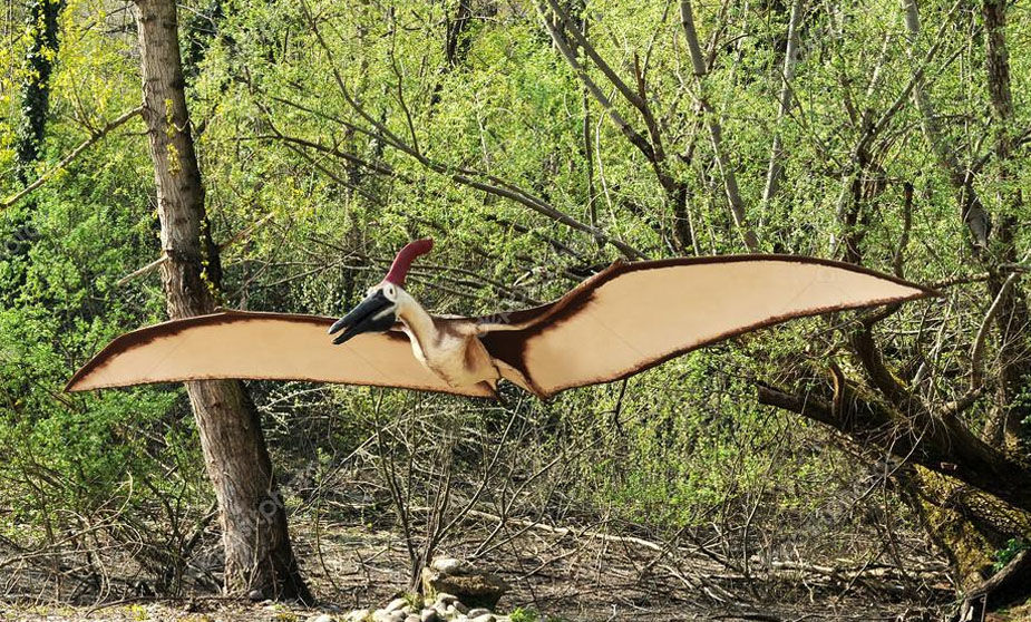 Lifelike Pterosaur Model