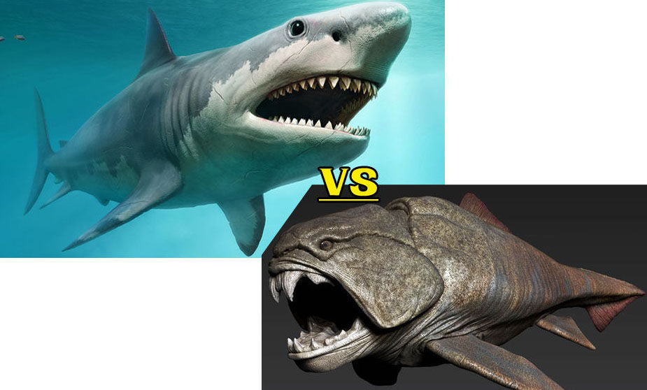 Megalodon VS Dunkleosteus