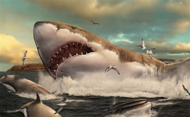 Powerful Megalodon