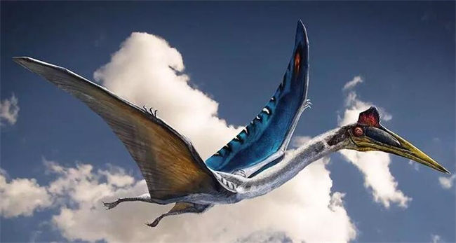 Pterosaur Flying