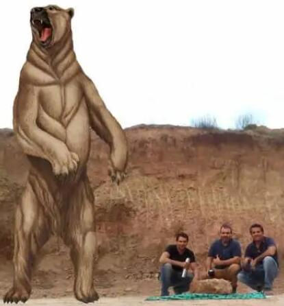 South American Bear / Arctotherium Angustidens