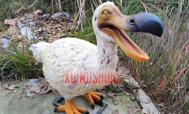 Animatronic Dodo Bird