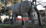 Animatronic Paraceratherium