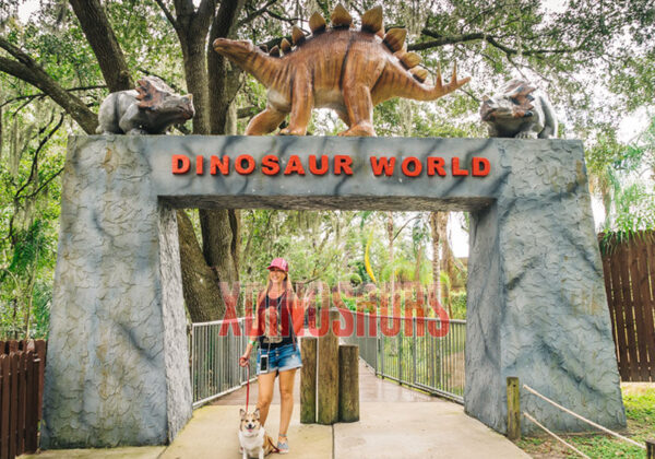 Dino World Park Entrance