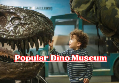 Popular Dino Museum