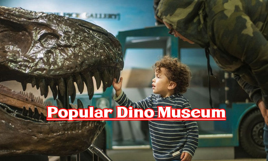 Popular Dino Museum