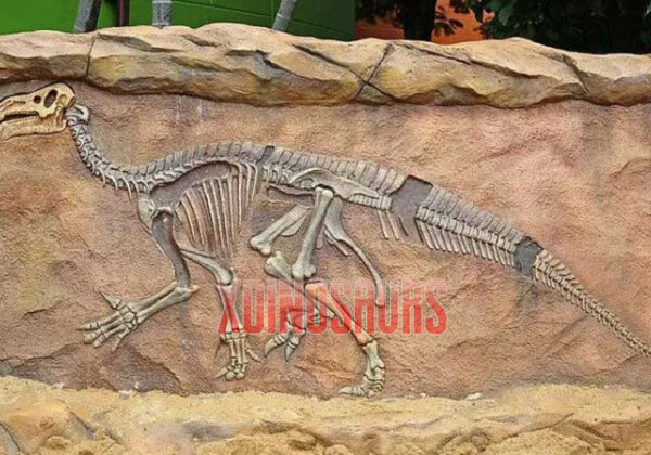 Dinosaur Fossil Replica