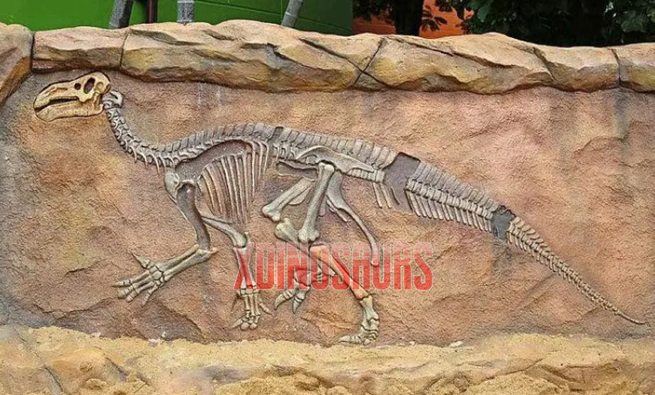 Dinosaur Fossil Replica