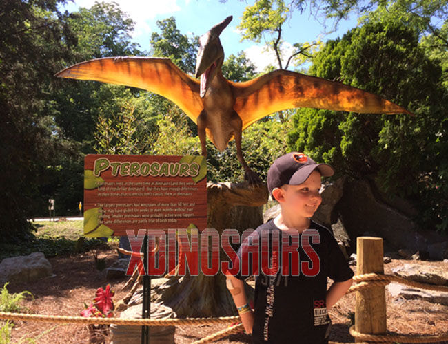 Animatronic Pterosaur