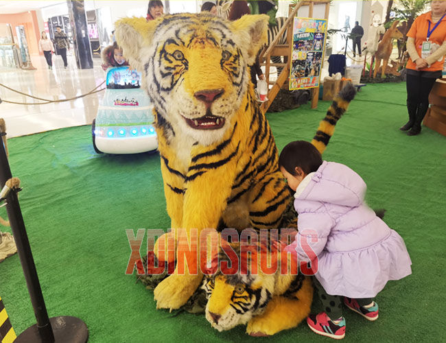 Life Size Tiger Exhibit