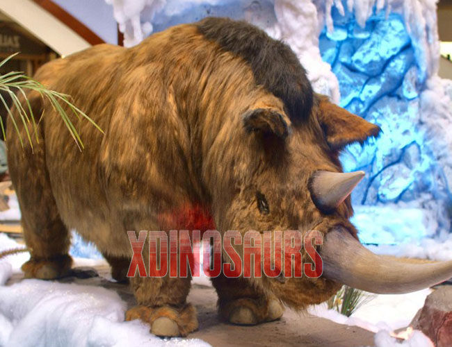 Animatronic Woolly Rhinoceros at Indoor