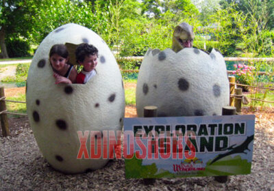 Dinosaur Eggshell in Dutch Wonderland