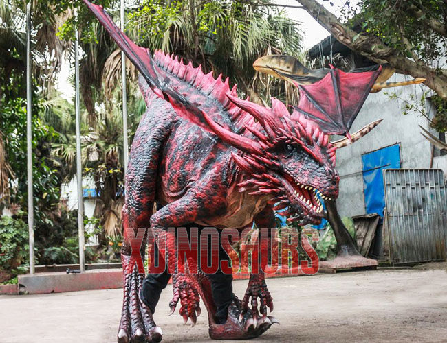 Realistic Dragon Suit Product