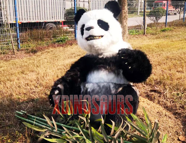 Lifelike Panda Exhibits