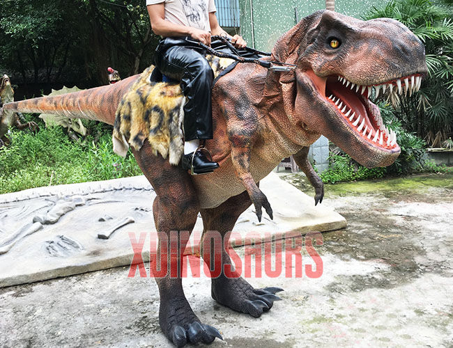 Real Trex Riding Suit