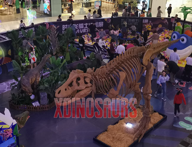 Trex Skeleton Replica at Mall