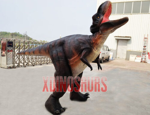 Fabricated Trex Suit