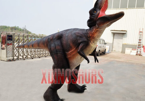 Fabricated Trex Suit