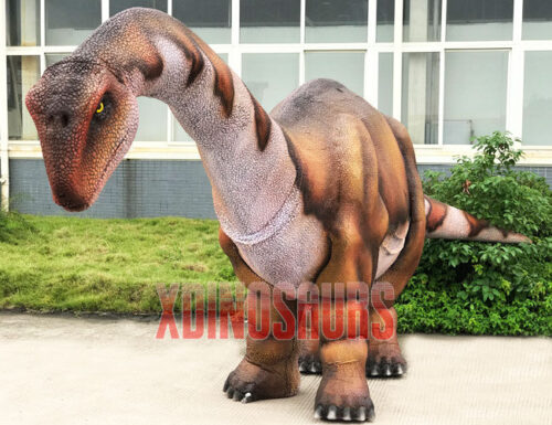 Real Size Apatosaurus Costume
