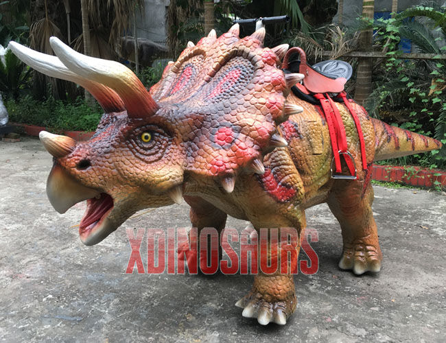 Amused Walking Triceratops Ride