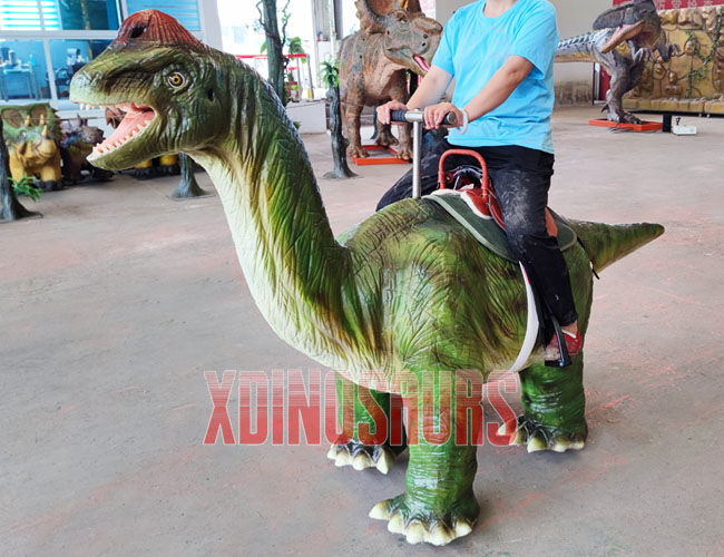 Walking Riding Dinosaur Equipment