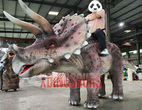 Driving Triceratops Car