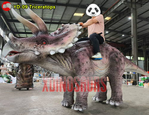 Driving Triceratops Ride