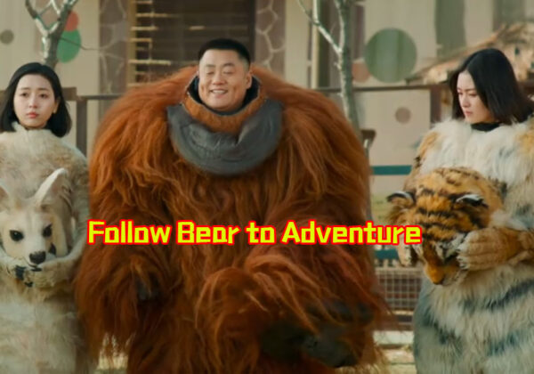 Follow Bear to Adventure