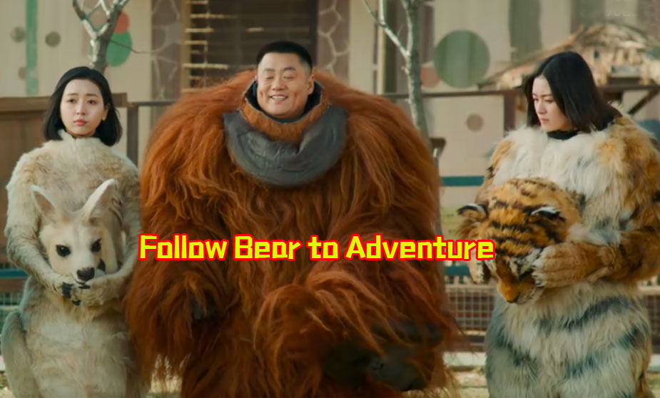 Follow Bear to Adventure