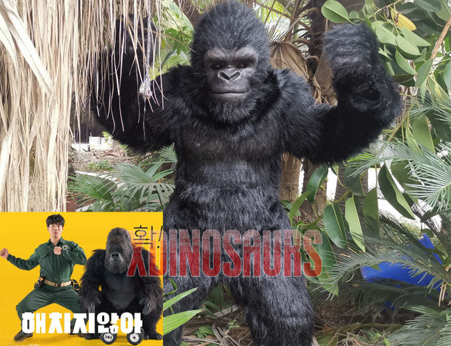 Gorilla Performing Suit