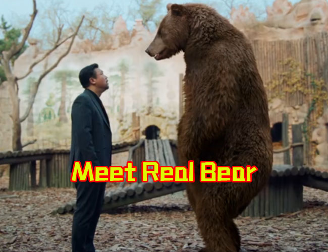 Meet Real Bear