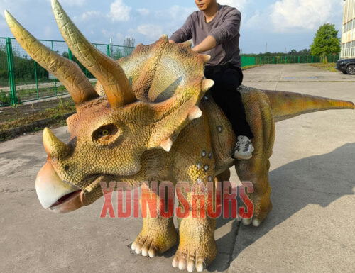 Triceratops Parade Ride