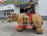 Walking Baby Elephant Ride