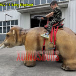 Walking Baby Elephant Ride