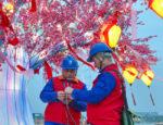 Electrician in Lantern Festival